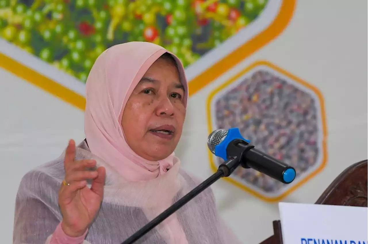 Zuraida claims three more MPs joining PBM