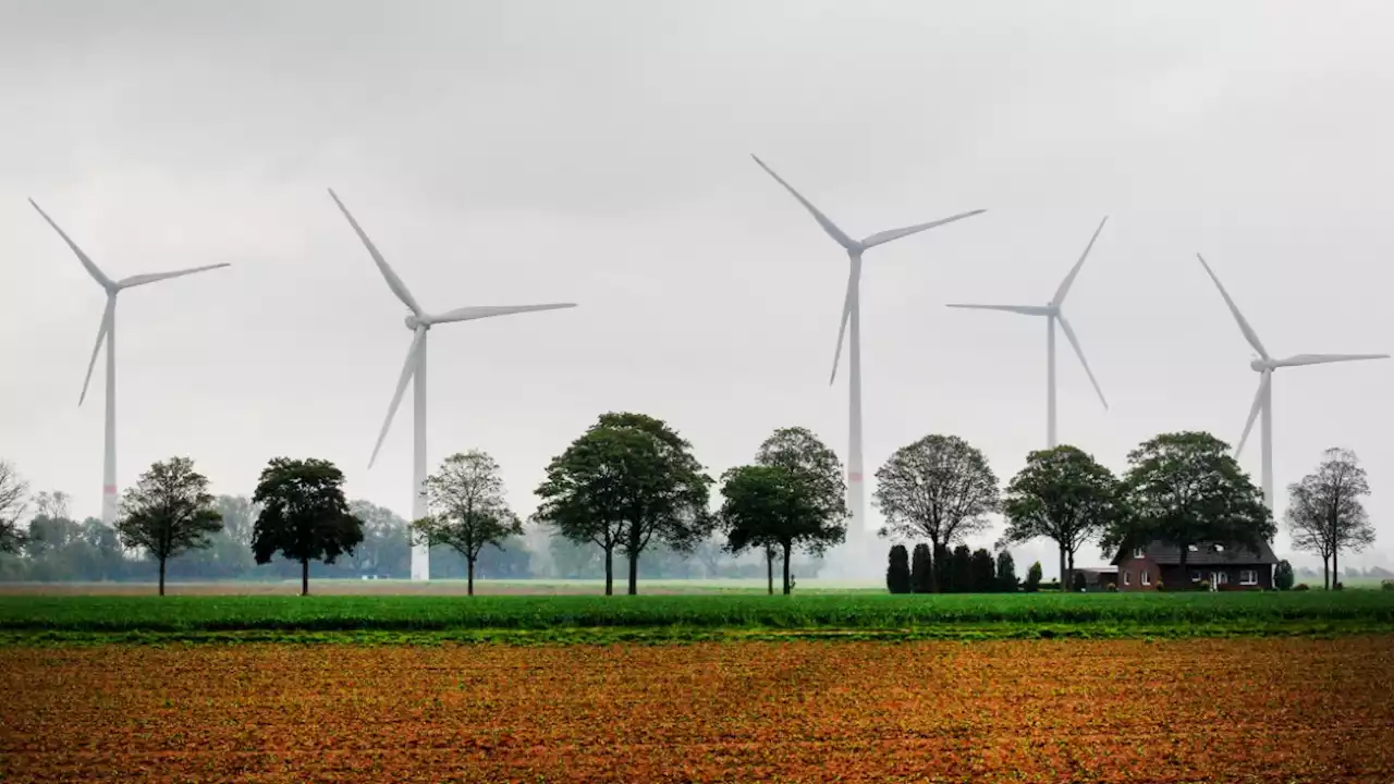 Ökostrom: Was Verbraucher über grünen Strom wissen sollten