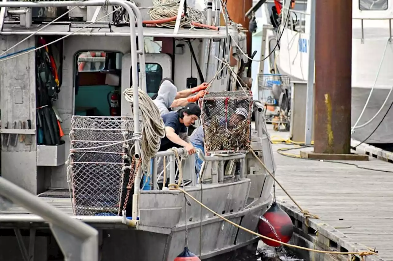 Commercial fisherman alarmed by lack of amenities in Prince Rupert harbour – Terrace Standard