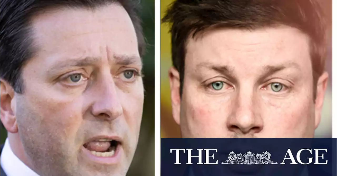 Liberal MP Tim Smith says Matthew Guy misled public after drink-drive crash