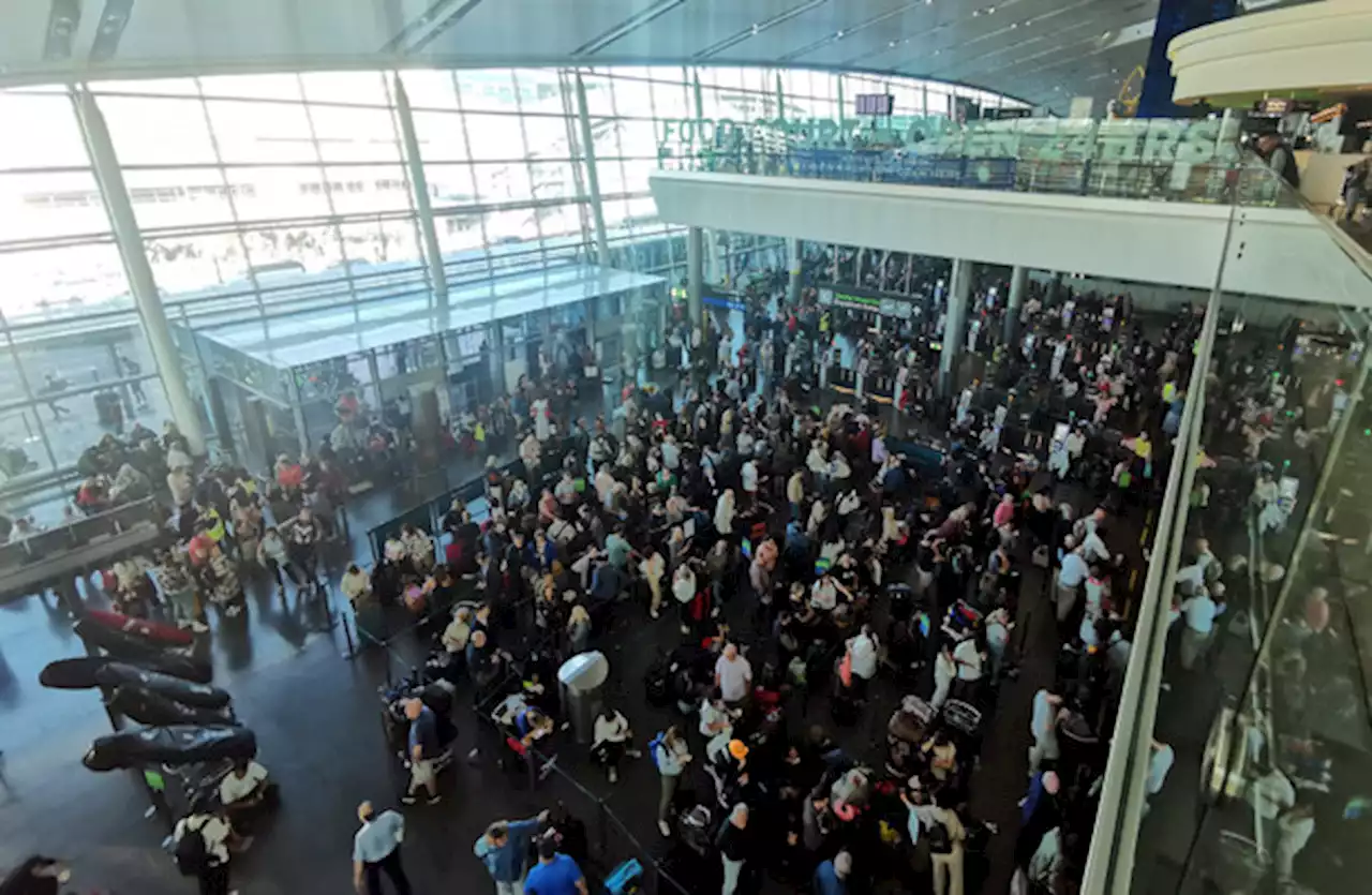 Aer Lingus says Sunday will 'operate as normal' after cancelling 51 flights due to IT error
