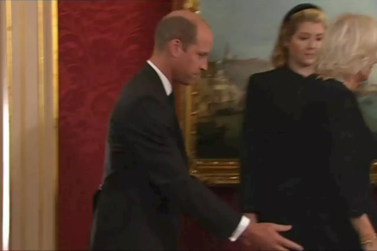 Sweet moment William offers steadying hand to Camilla at historic ceremony