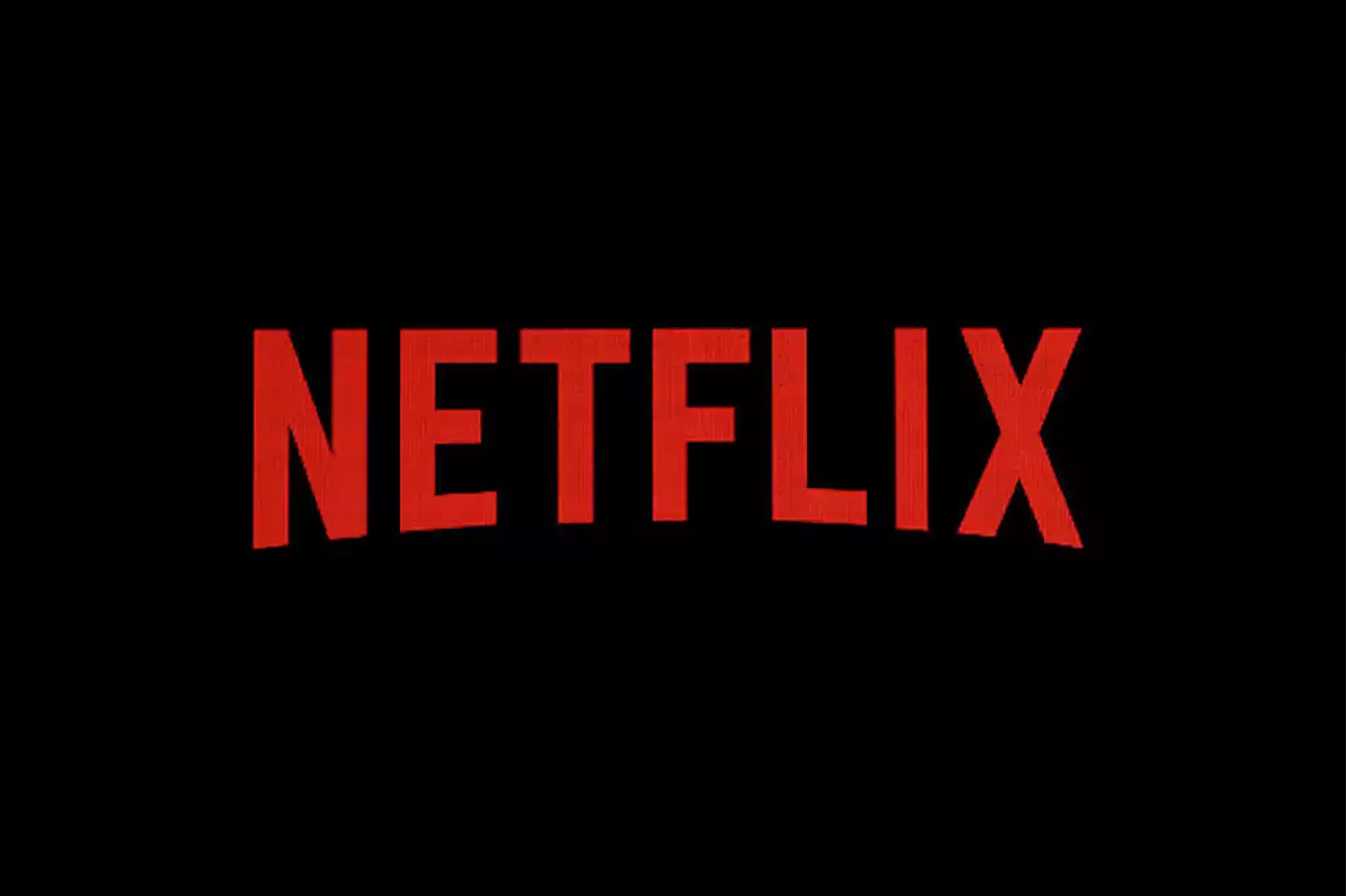 Netflix Scholarship for Creatives in West, Central Africa – THISDAYLIVE