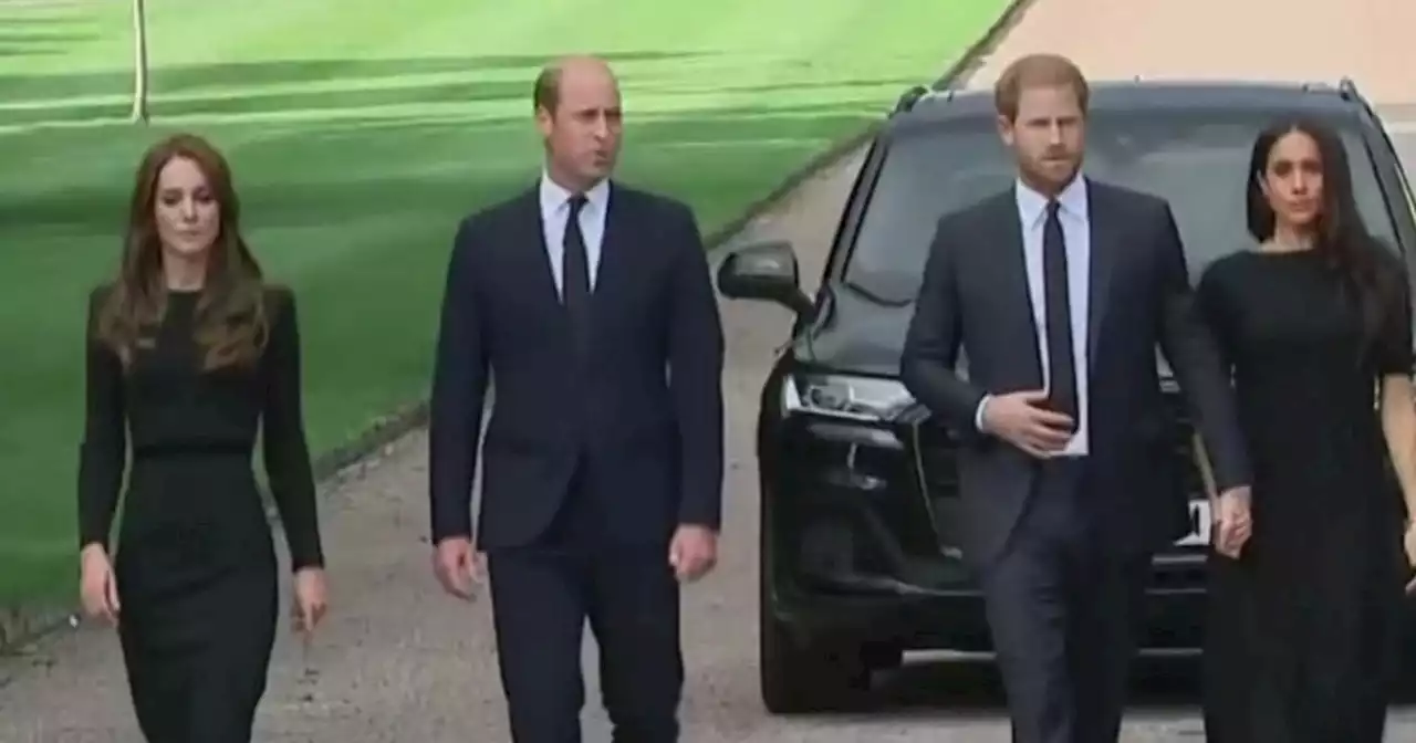 Watch Harry and William reunite publicly for the first time since the death of Queen Elizabeth II