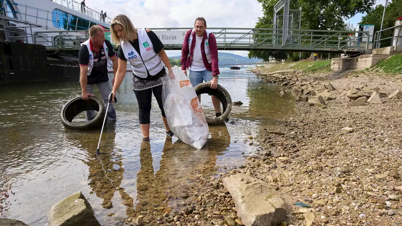 'Rhine Clean Up' - Müllsammelaktion an vielen NRW-Flüssen