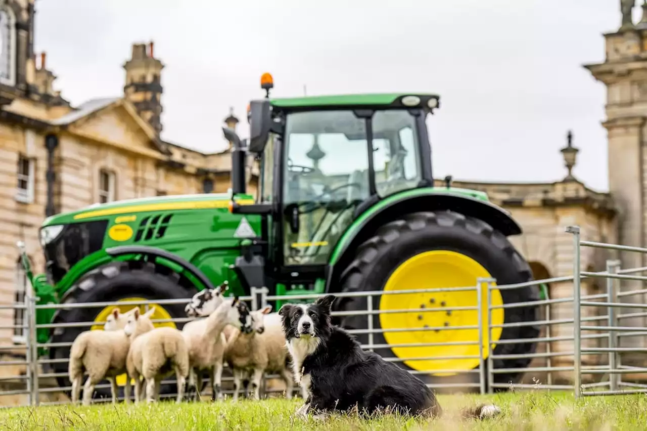 'It's good to be back', International Sheep Dog trials return to Yorkshire after 40 years