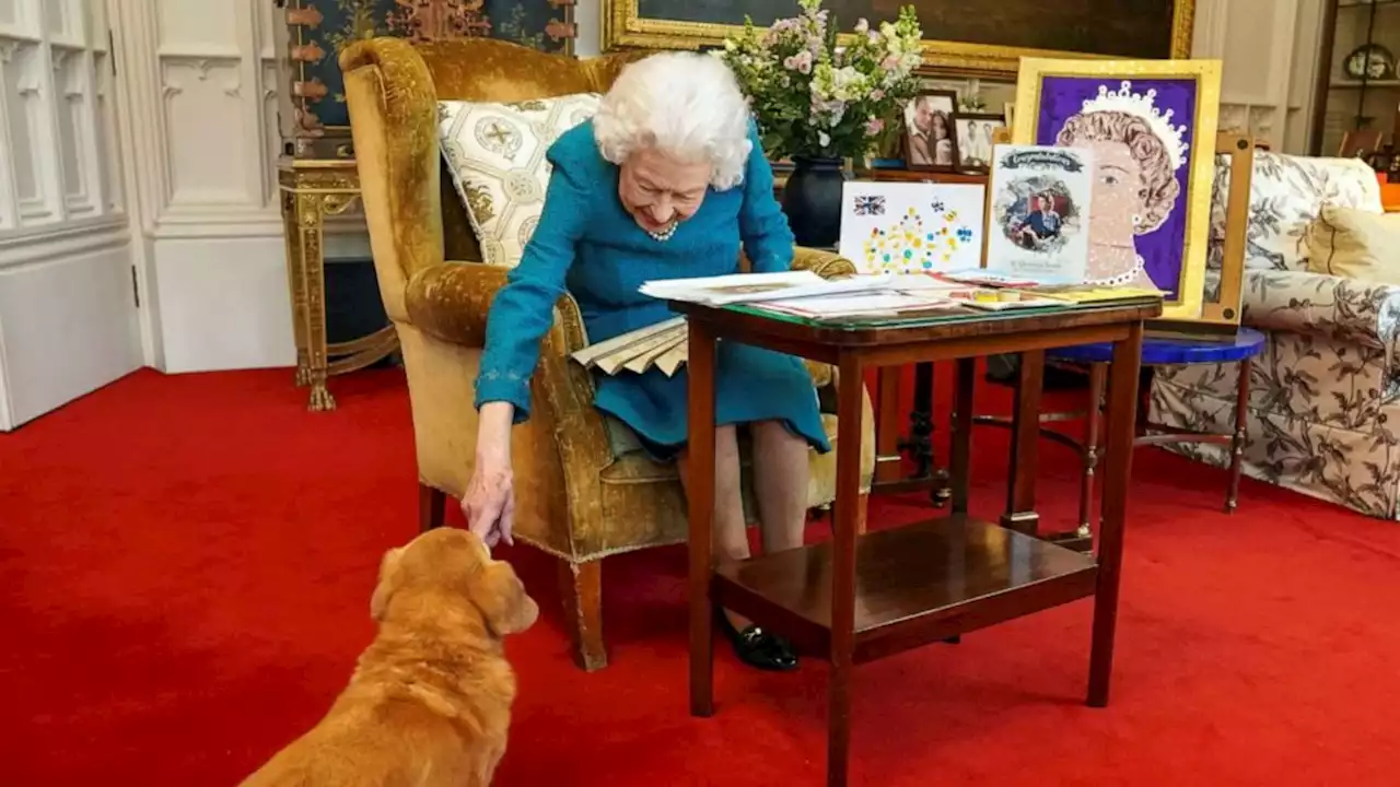 Prince Andrew to care for the Queen's corgis, source says