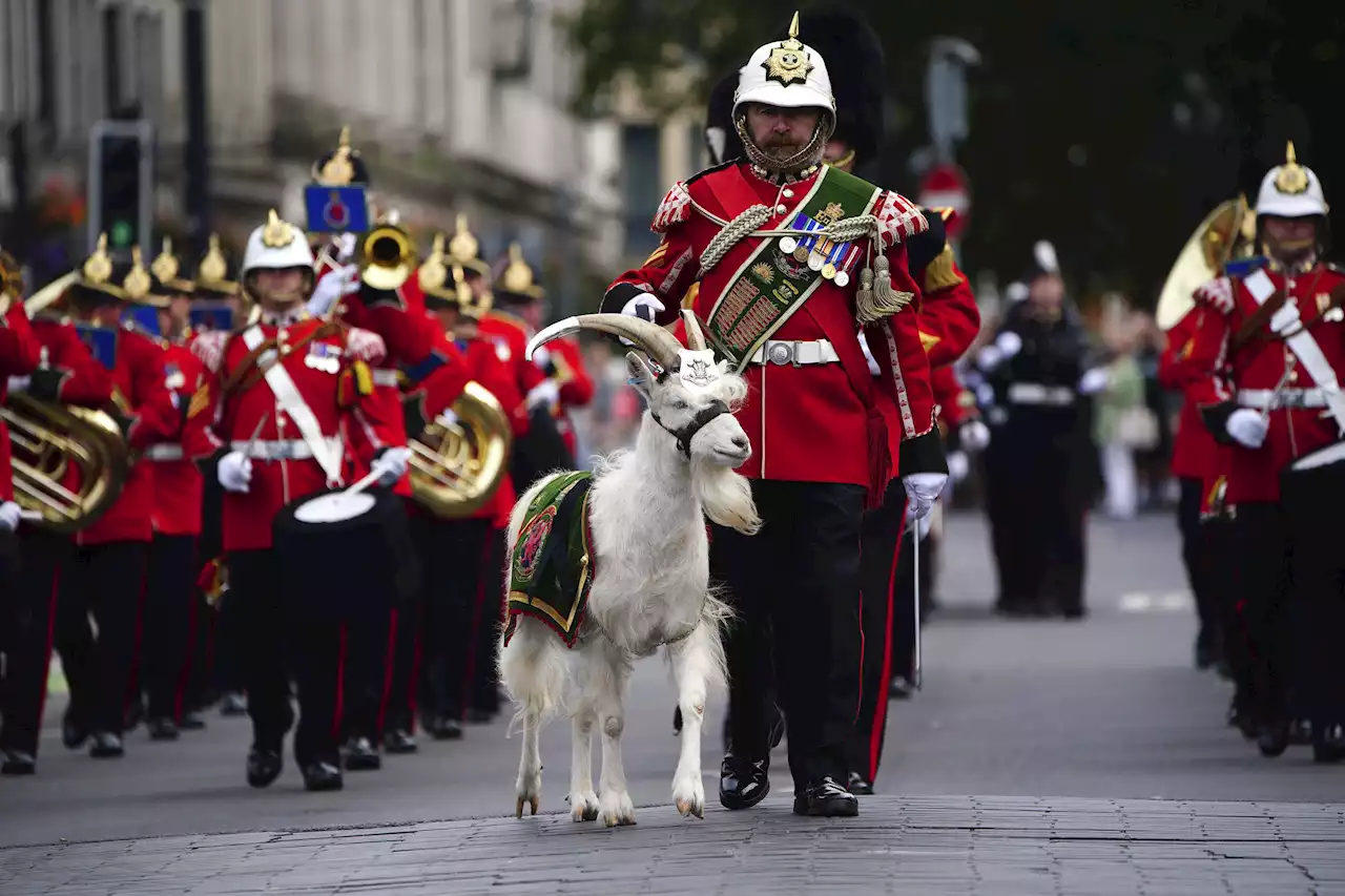 Live updates: King Charles proclaimed monarch in rest of UK