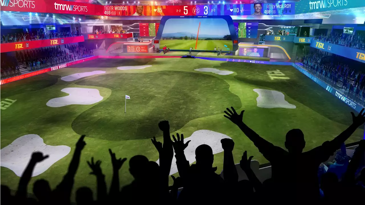 Sports leagues go virtual