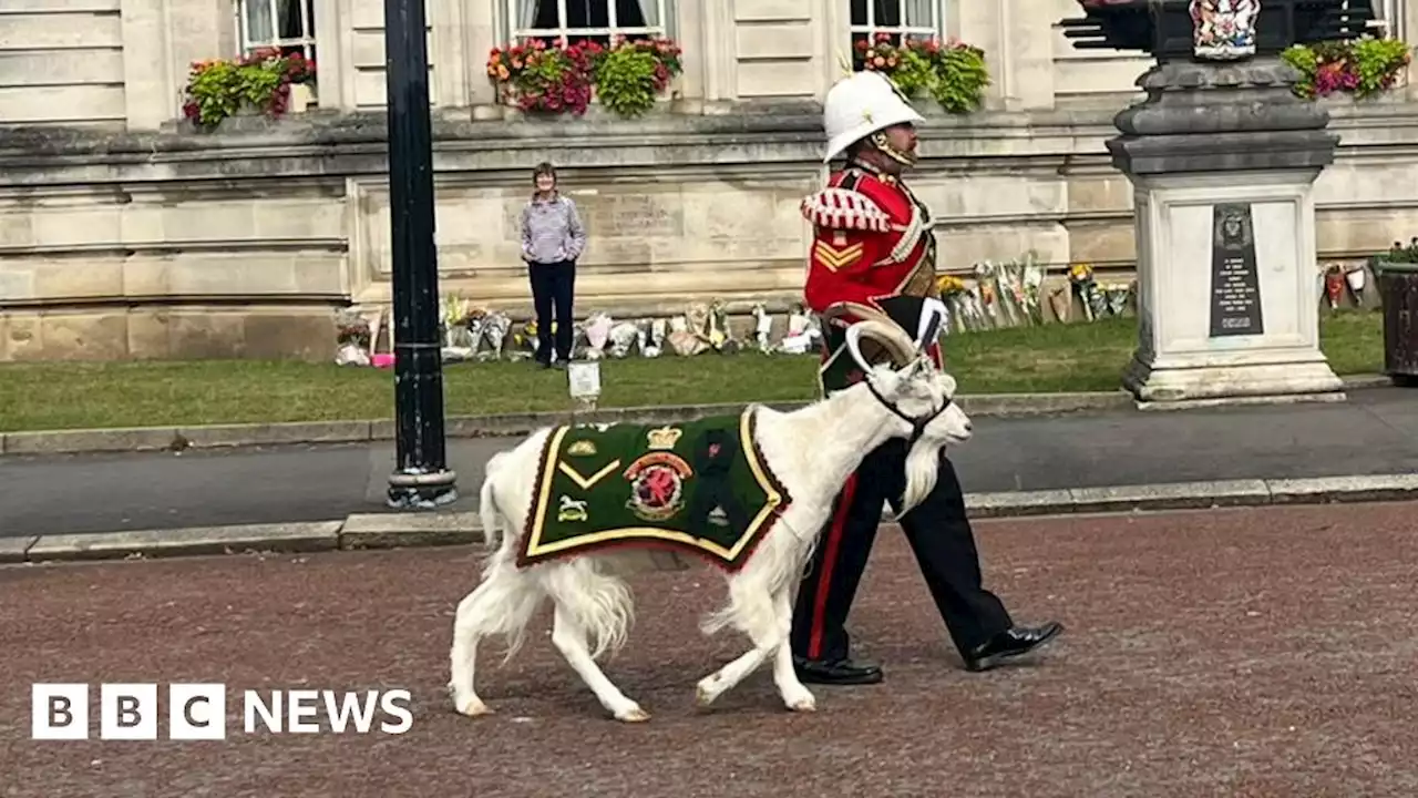 King Charles III: Cardiff events mark proclamation of the King