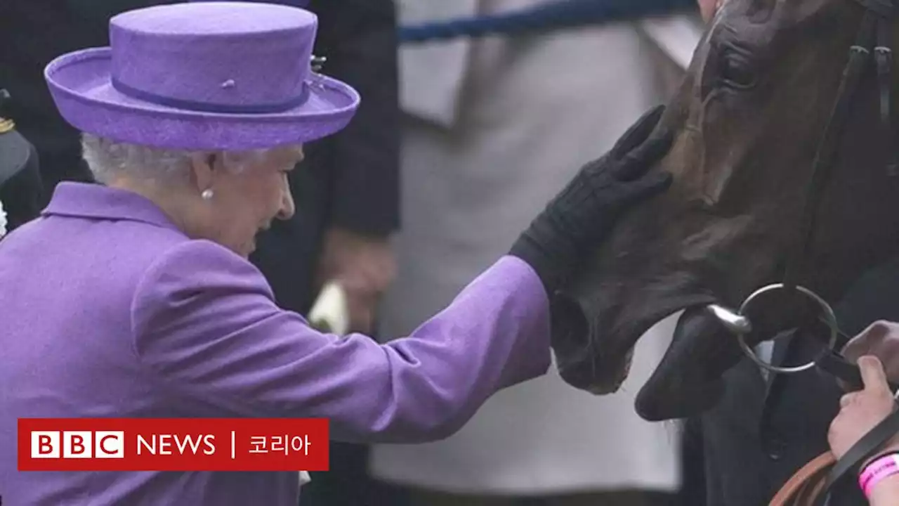 엘리자베스 여왕이 평생 열정을 바친 '말' - BBC News 코리아