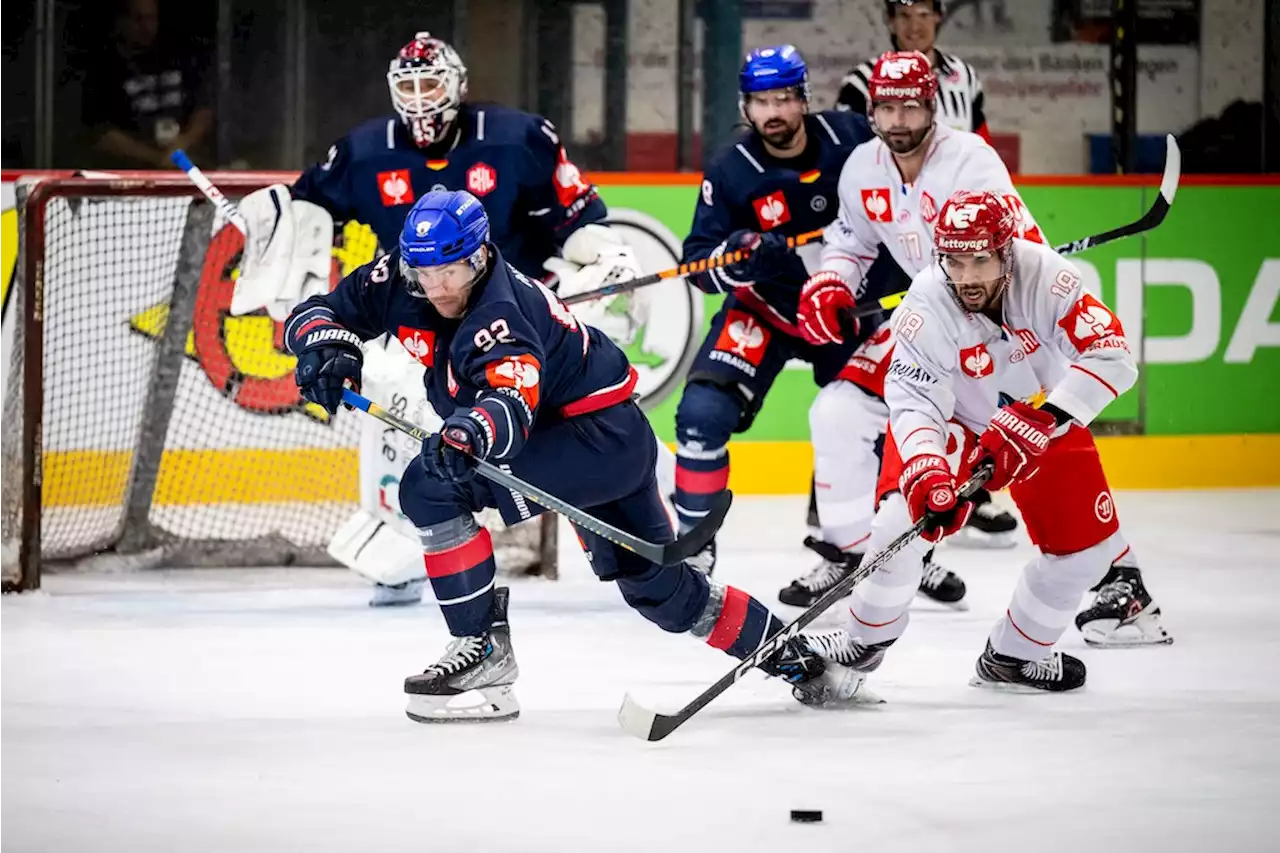 Eisbären Berlin glauben an das Achtelfinale: „Zwei Endspiele“ gegen Mountfield