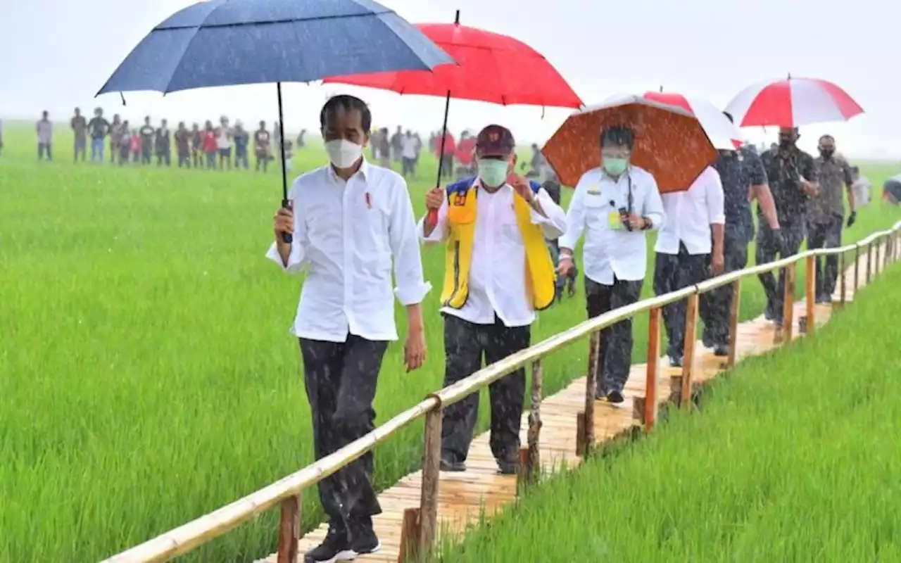 Pacu Produksi Sorgum, PUPR Sediakan Pasokan Air di 3 Wilayah NTT