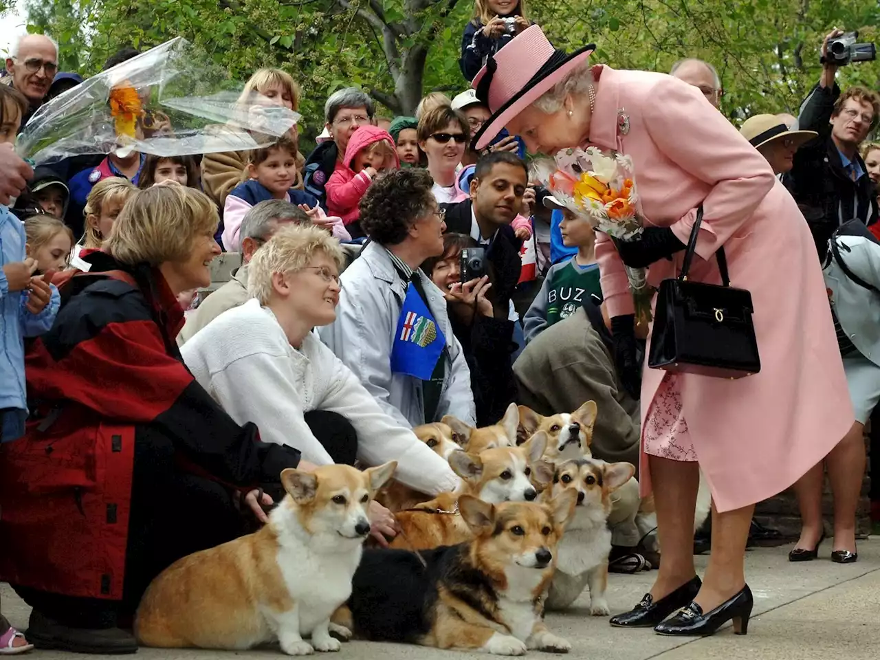 The future of Queen Elizabeth II's cherished corgis may involve Prince Andrew | Businessinsider