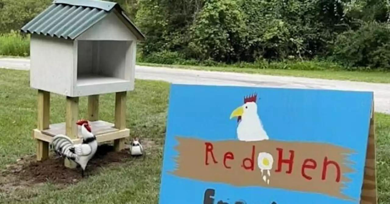 PHOTOS: Ten-Year-Old Entrepreneur Opens Egg Stand