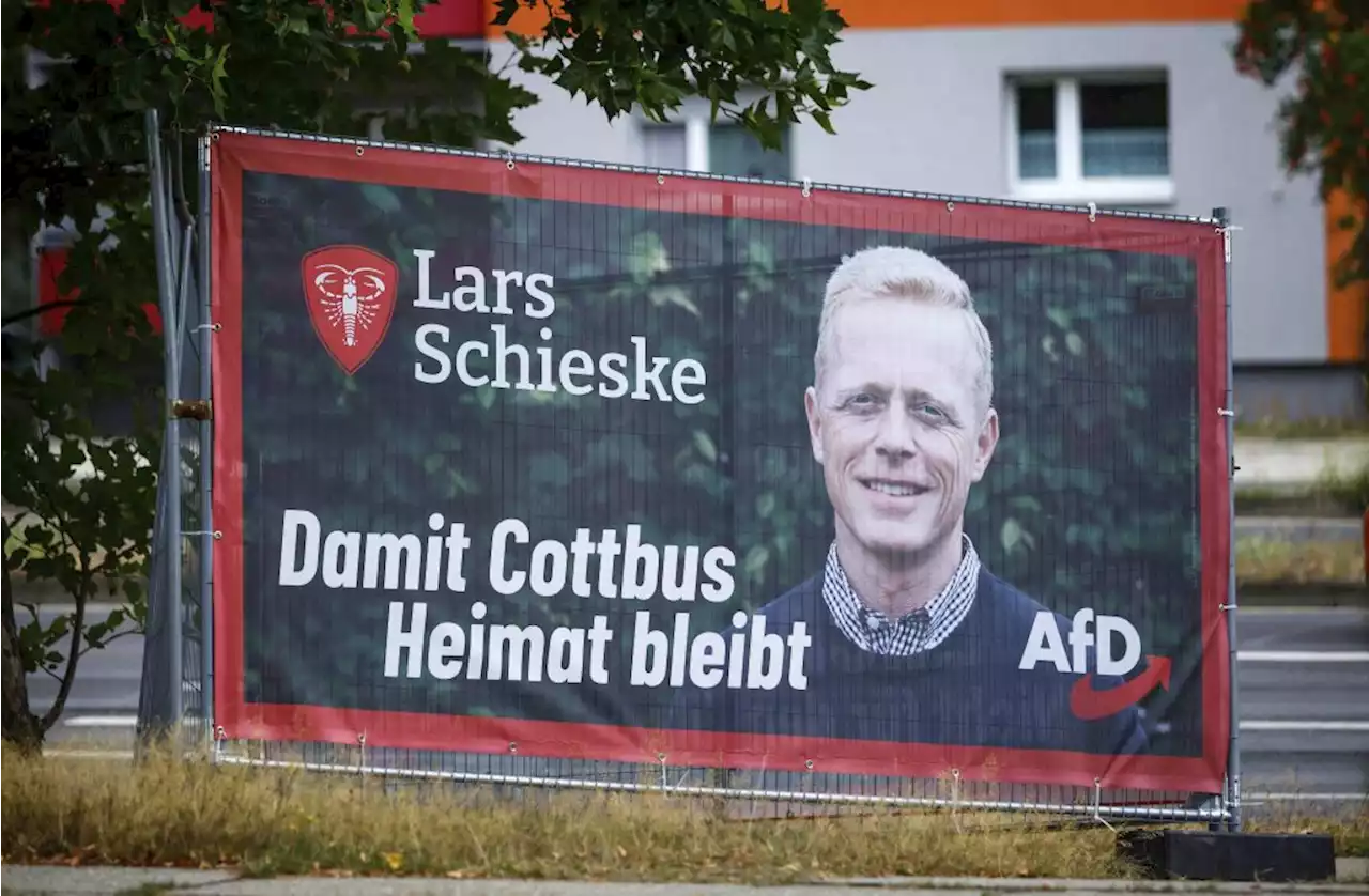 OB-Wahl in Cottbus: AfD scheitert mit Angst-Wahlkampf