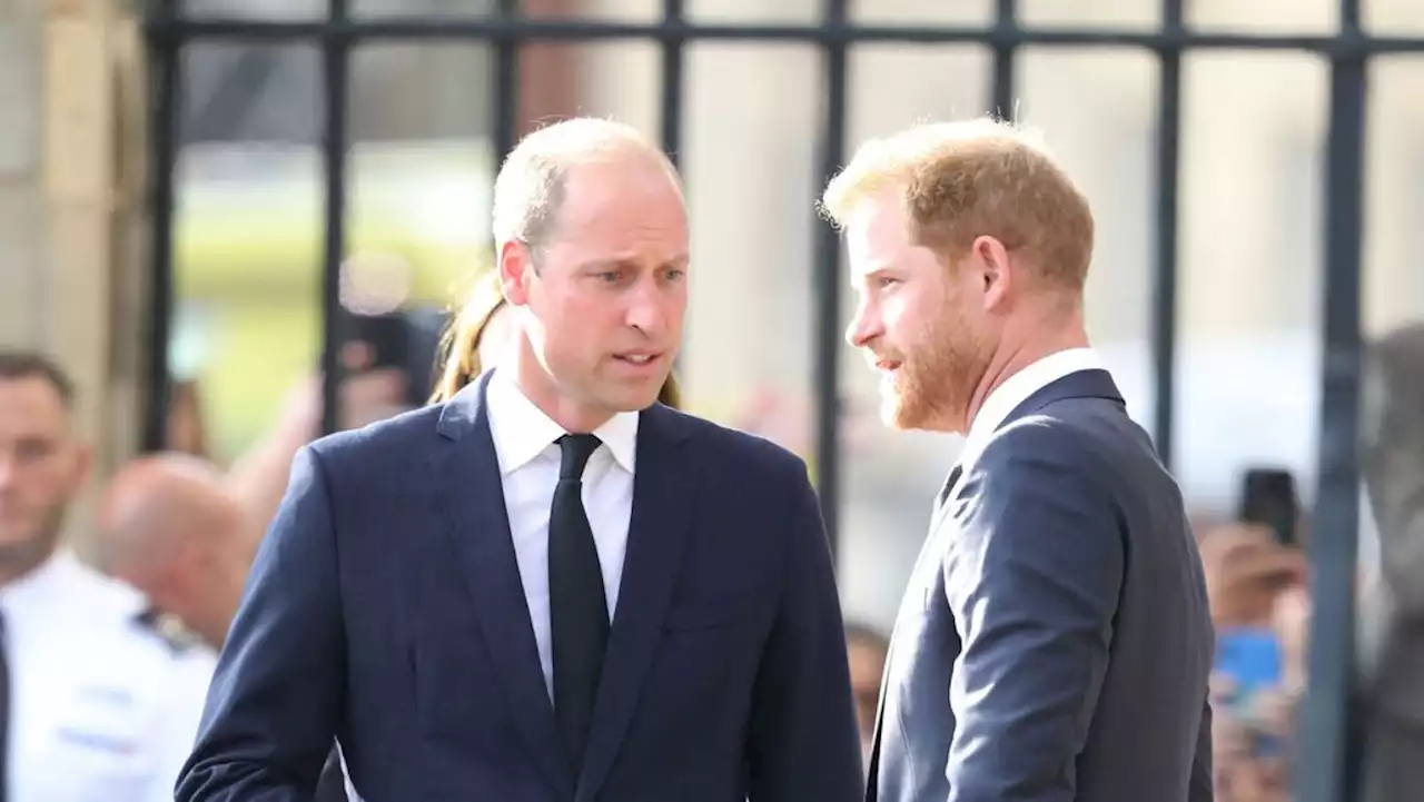 William et Harry : non, les deux frères ne sont pas réconciliés…