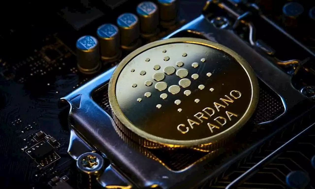 White House’s eye on Cardano can take ADA in this direction