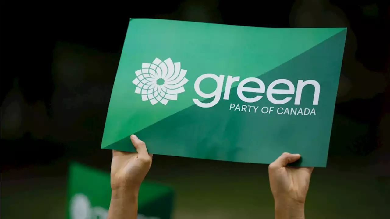 Green Party president resigns, saying her 'optimism has died'