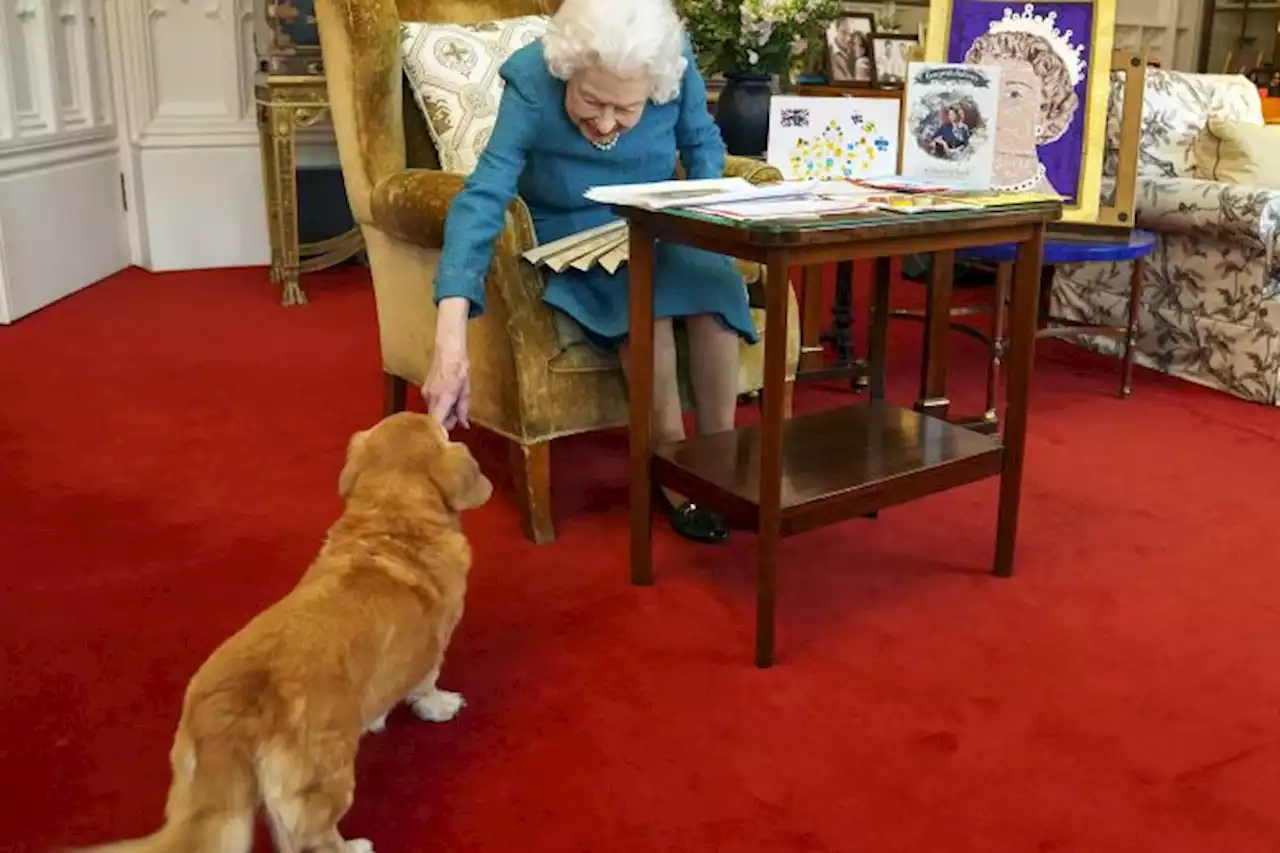 Queen Elizabeth’s Corgis To Live With Prince Andrew And Ex-Wife Sarah Ferguson