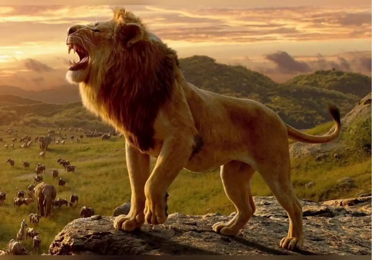 « Mufasa » : Disney prépare un film en live action pour le préquel du « Roi Lion »