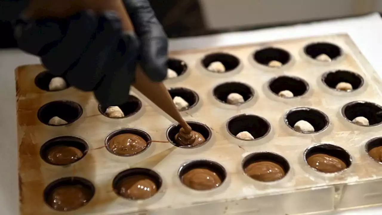 Houston, Dallas ranked among top cities for chocolate lovers: study