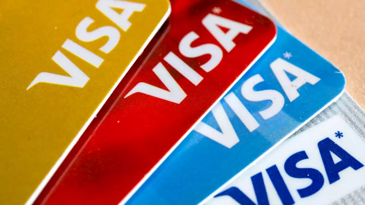 Visa plans to separately categorize gun shop sales