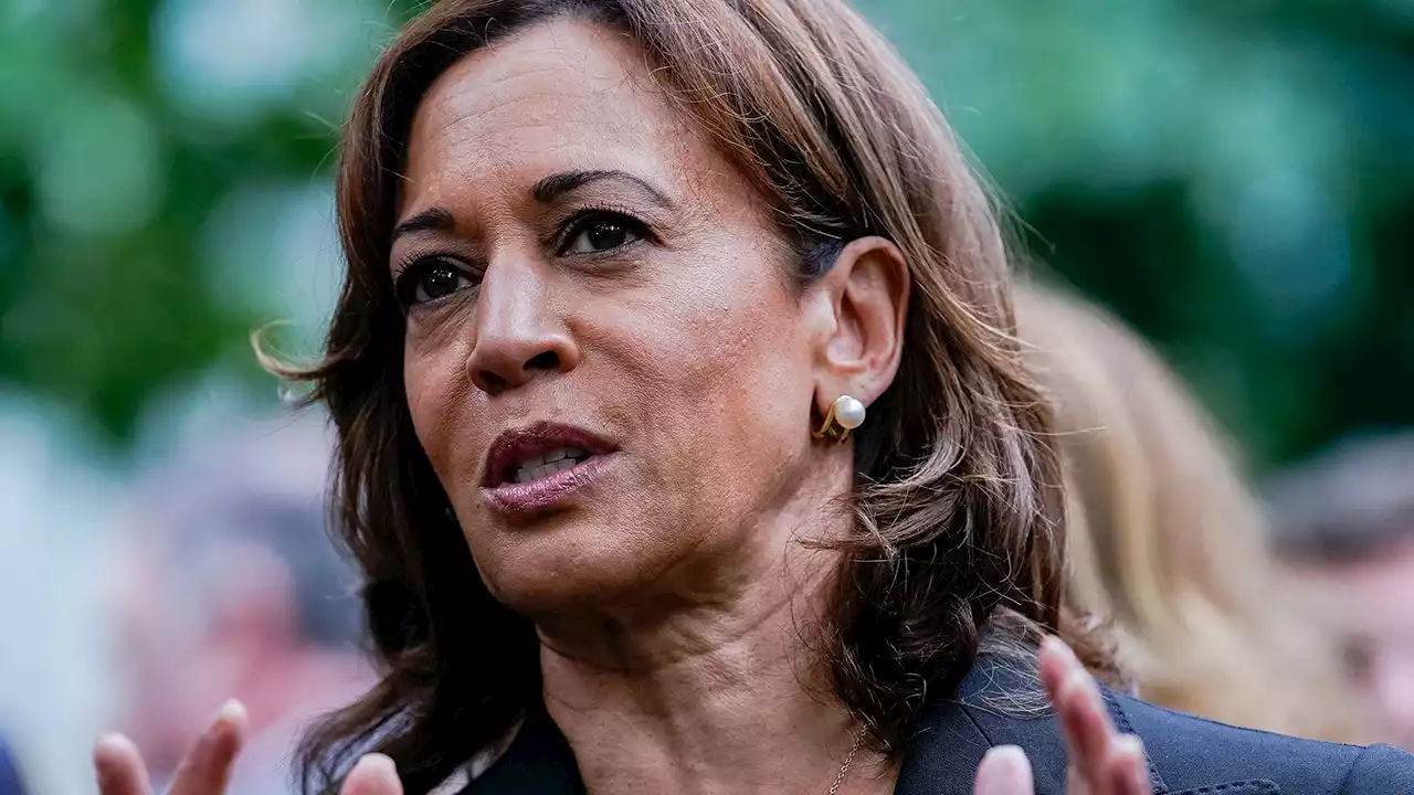 VP Harris blames GOP ‘election deniers’ for making US democracy 'weaker' through 'threats from within'