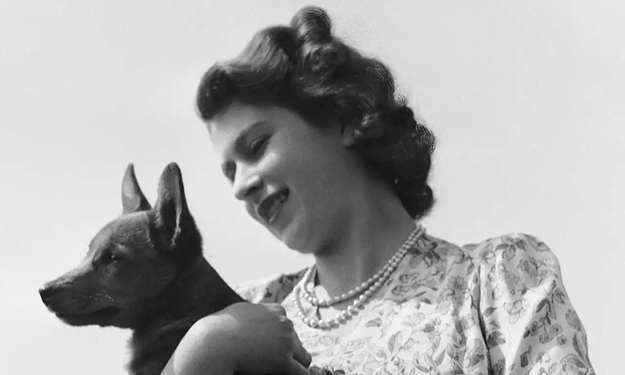 Revealed: who will look after the late Queen Elizabeth II's beloved corgis