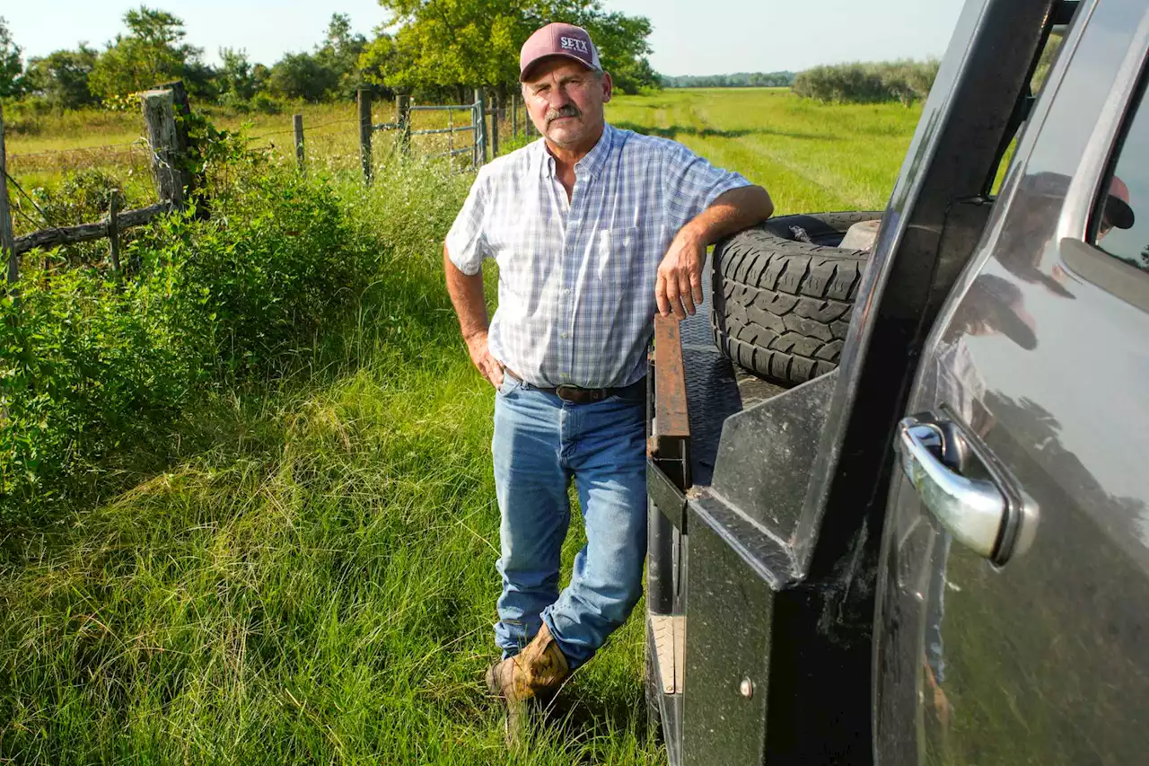 An olive farm in Houston? The story behind the award-winning orchard featured in Netflix's 'Mo'