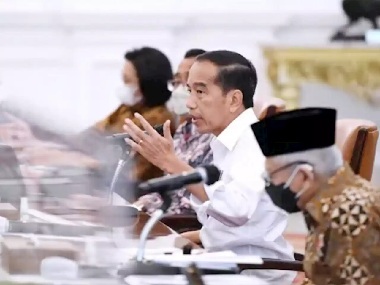 Banjir Keluhan Mengenai Urusan Imigrasi, Jokowi Geram