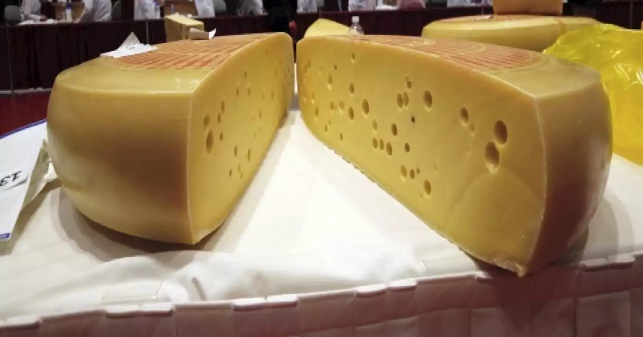 Why does Swiss cheese have holes in it?