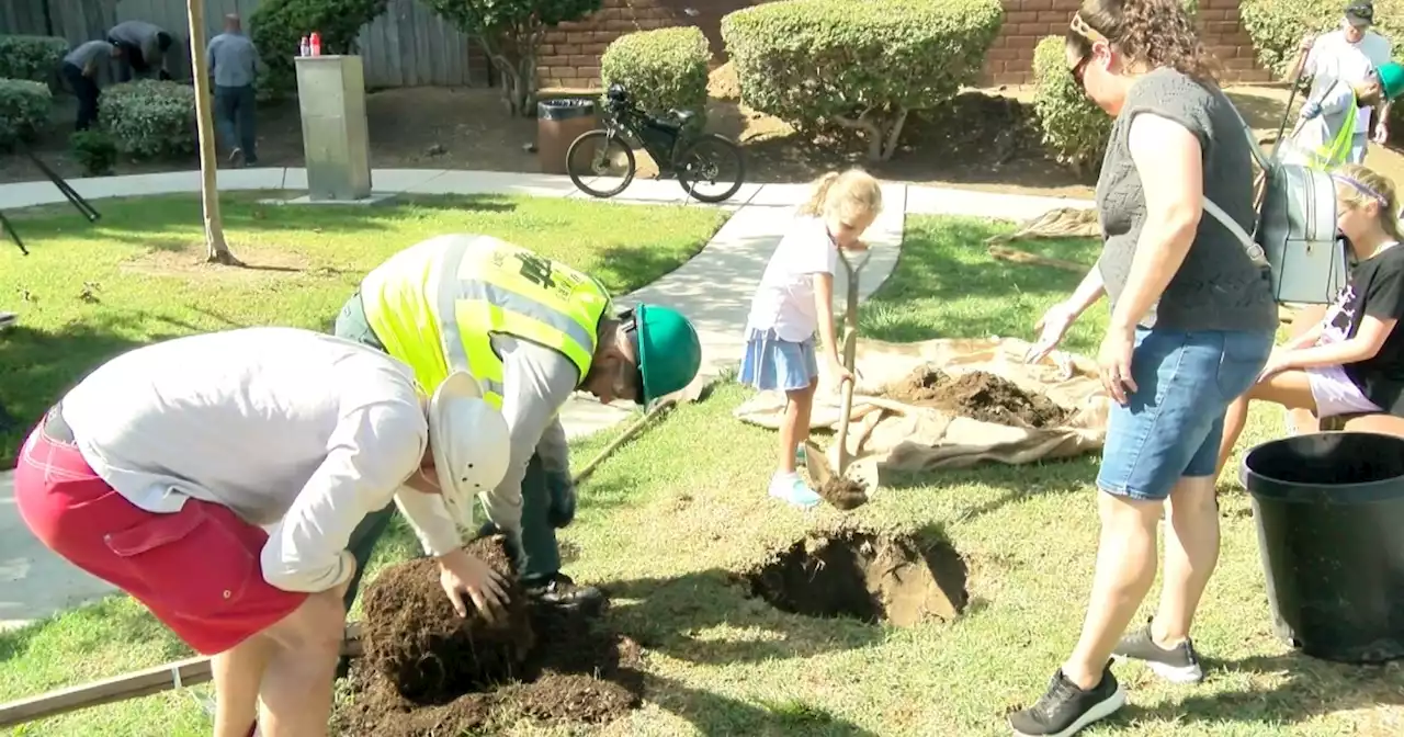 Beating the heat with trees; Vista park gets more trees planted