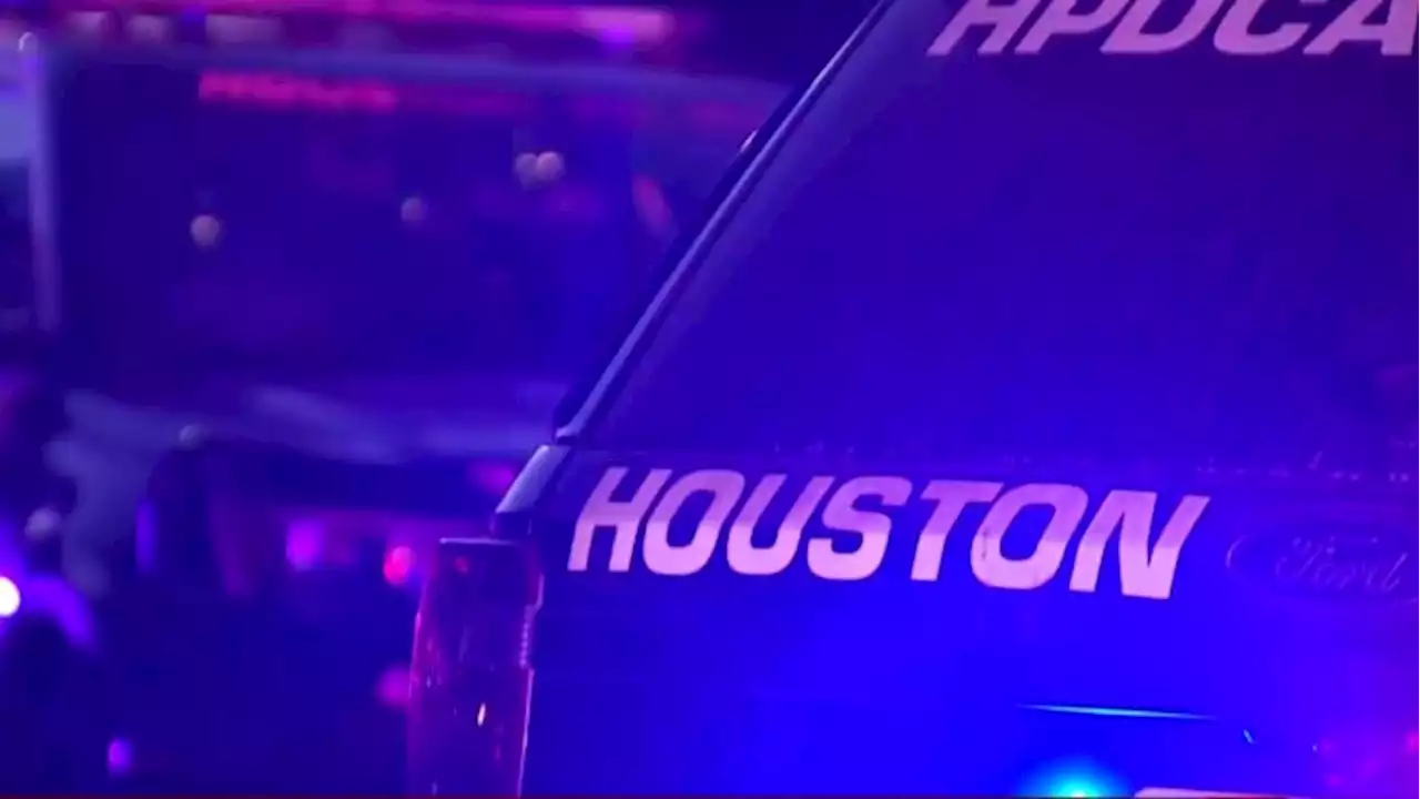 Multiple people shot at apparent block party in NE Houston, HPD says