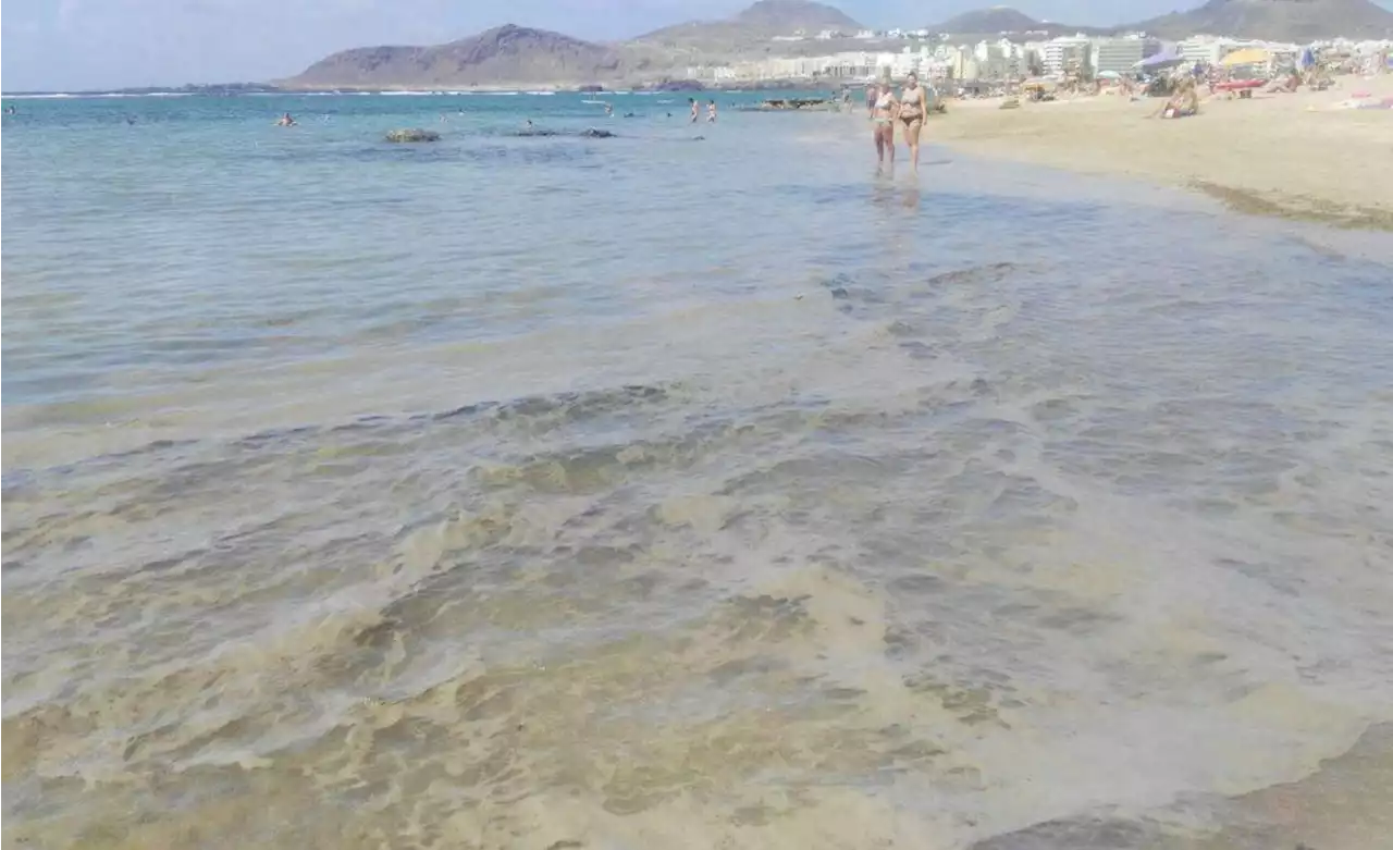 Vuelven las microalgas a Canarias: desaconsejan el baño en todas las playas de Candelaria