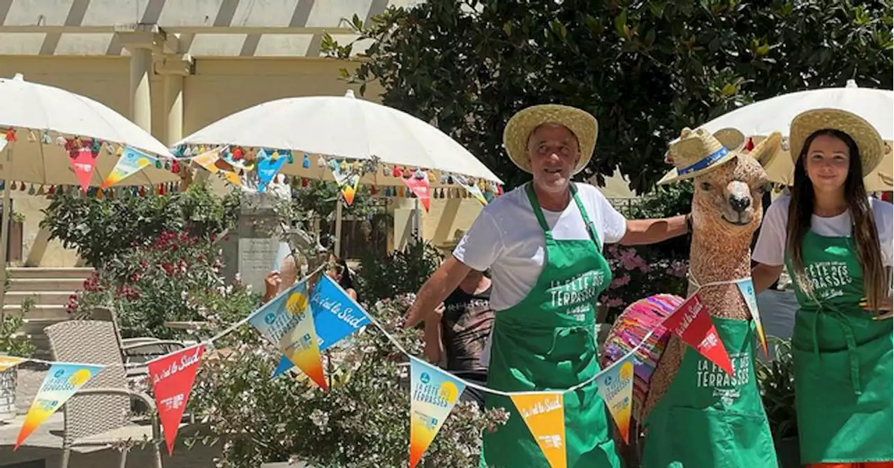 La Ciotat : L'Alpaga-Café remporte le prix de la plus belle terrasse