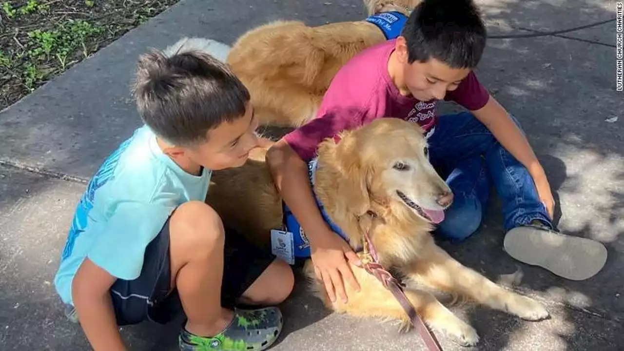 Dieci cani stanno aiutando i bambini di Uvalde a tornare a scuola con il sorriso dopo la sparatoria di maggio