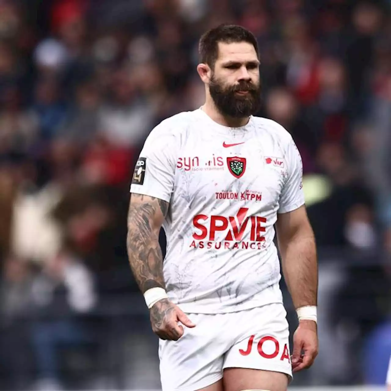 La faucheuse Cornell du Preez, le troisième-ligne de Toulon au corps cabossé