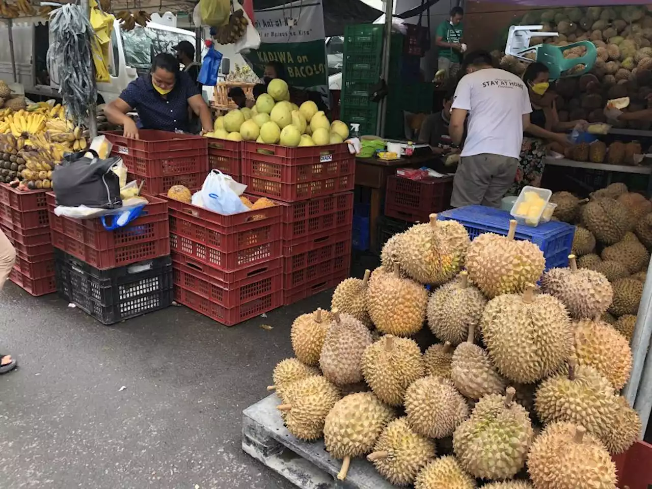 PH to export durian to China