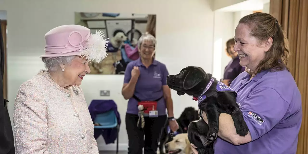 Queen Elizabeth II 'demonstrated an unstinting passion for charities' — these were her favorite causes