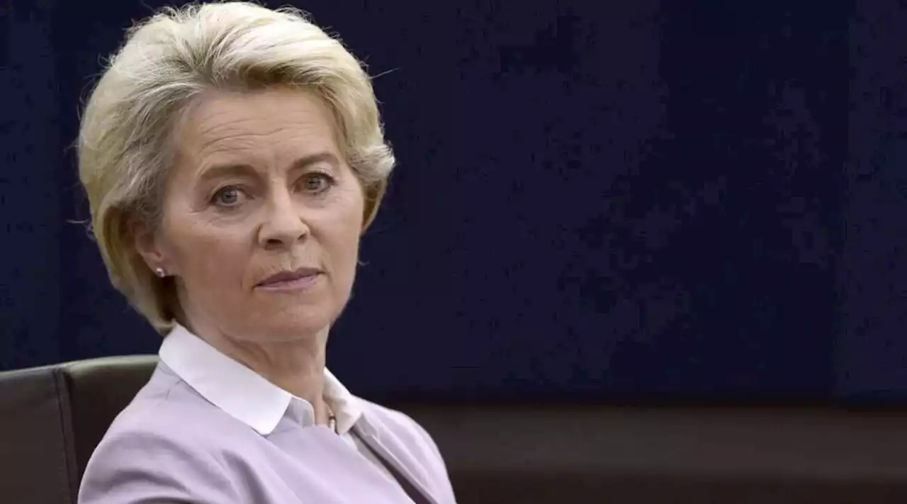 Von der Leyen: 'L'Ucraina combatte anche per l'Ue, Bruxelles è al suo fianco'