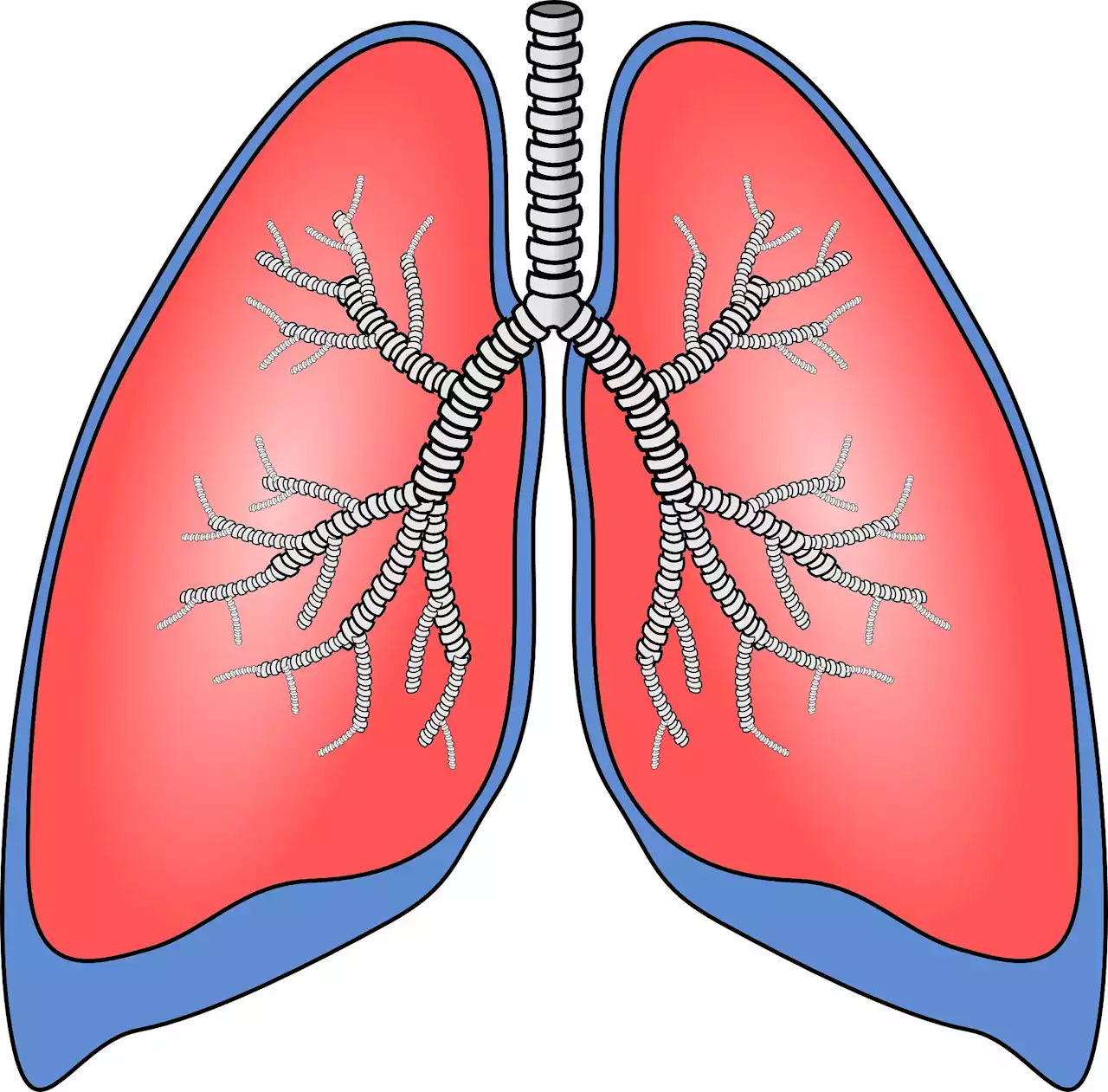 Scientists discover how air pollution triggers lung cancer