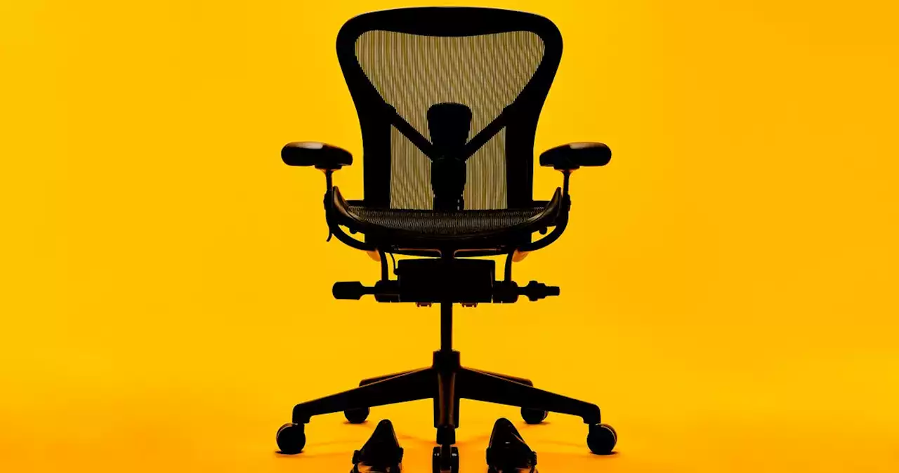 The 13 Very Best Ergonomic Office Chairs