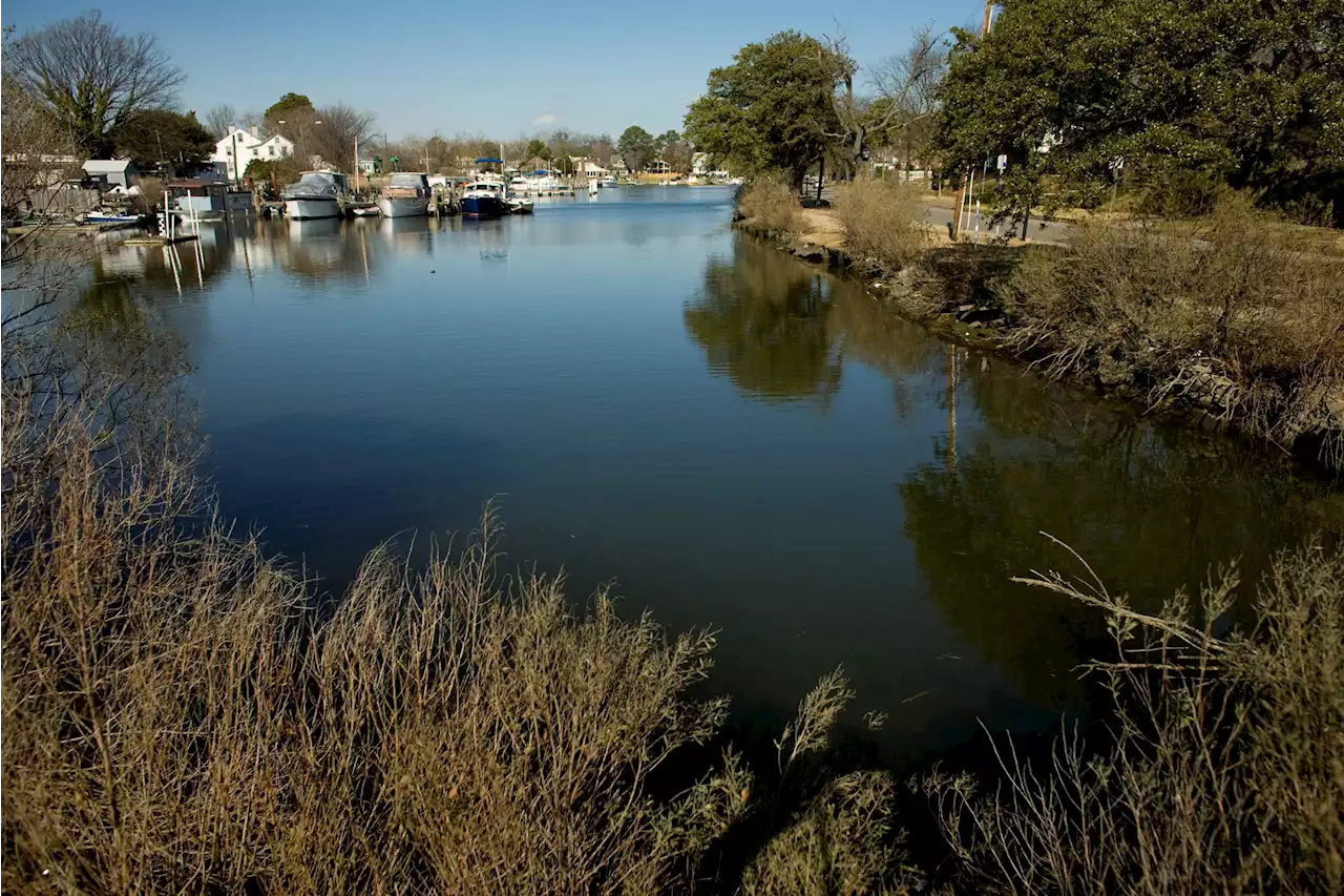 New Virginia research facility shows how to live with rising tides