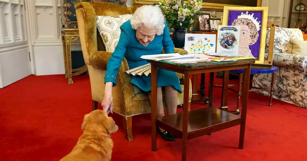 Prince Andrew and Princess Beatrice to take Queen's corgis Muick and Sandy