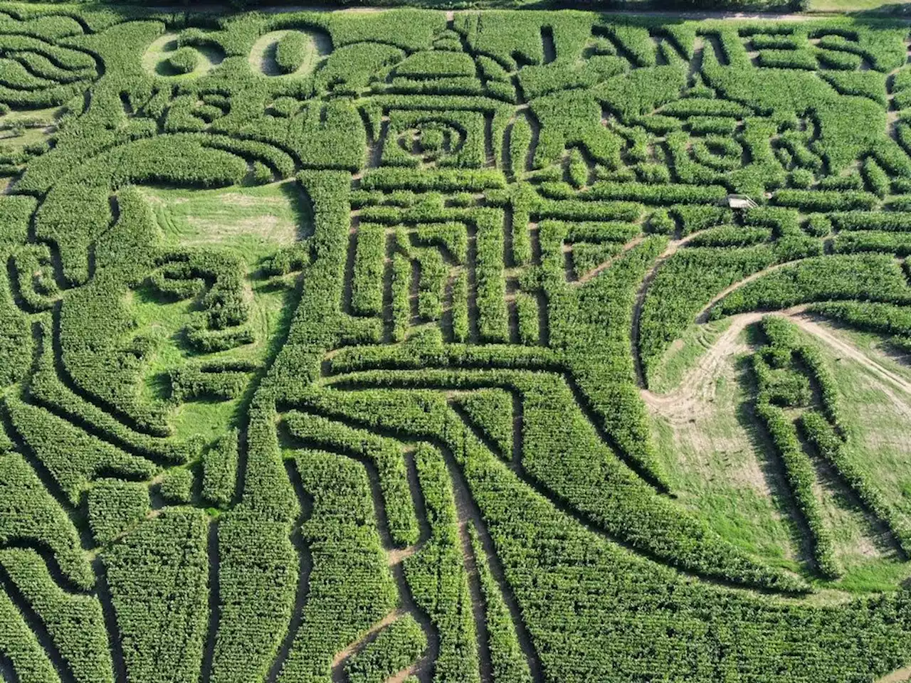 'World's largest corn maze' celebrates 60 years of James Bond