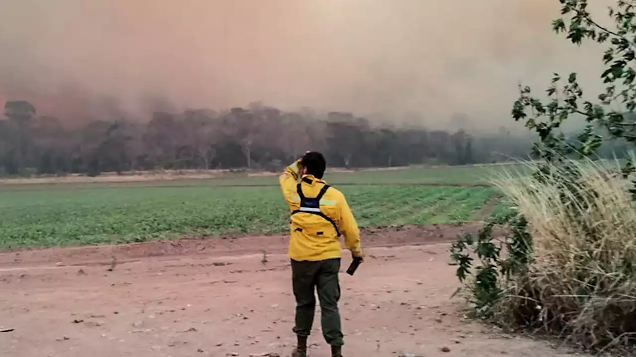 Concentran esfuerzos para que el fuego no llegue al Parque Nacional Calilegua | Incendios forestales en Jujuy, Tucumán y Córdoba