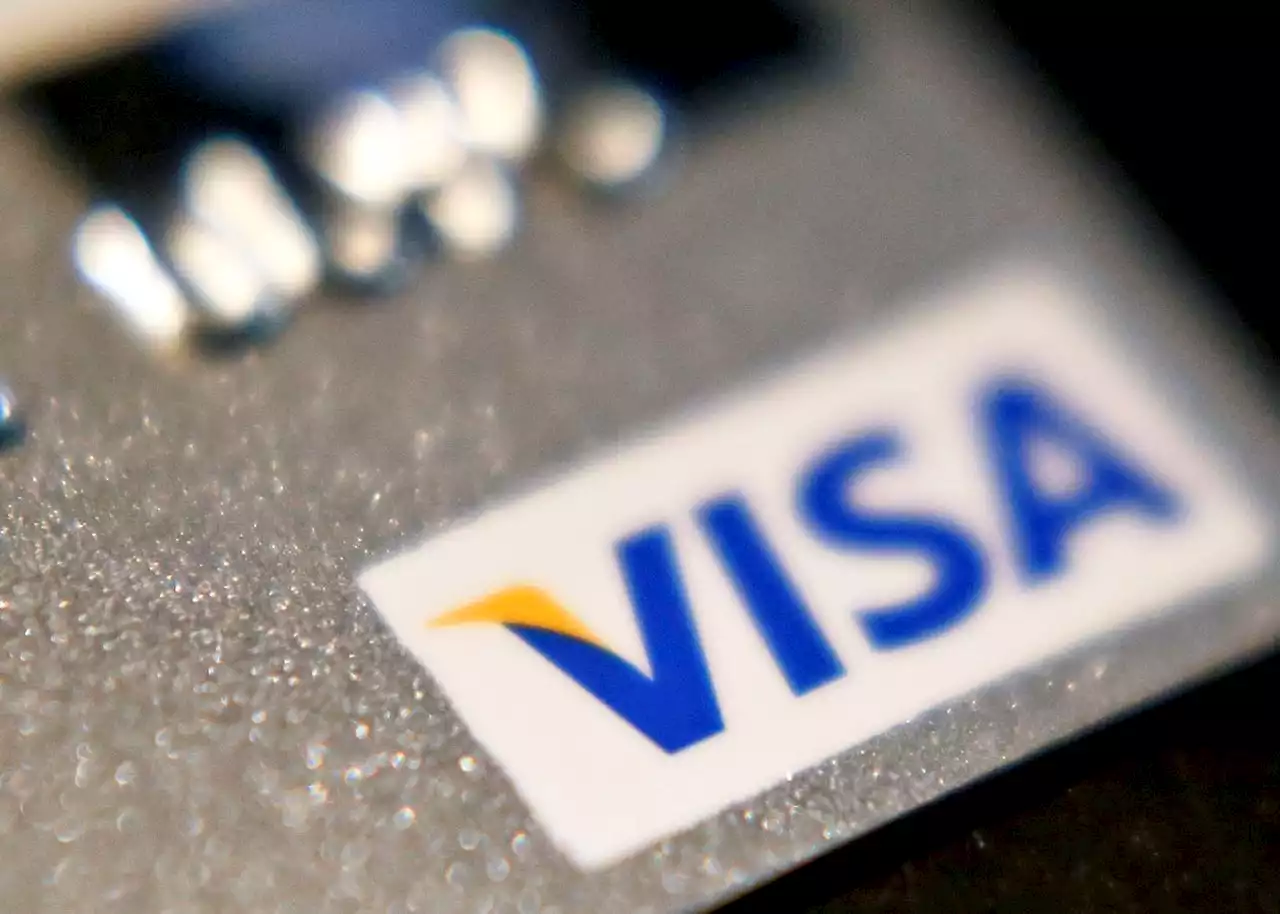 Visa to start categorizing gun shop sales separately