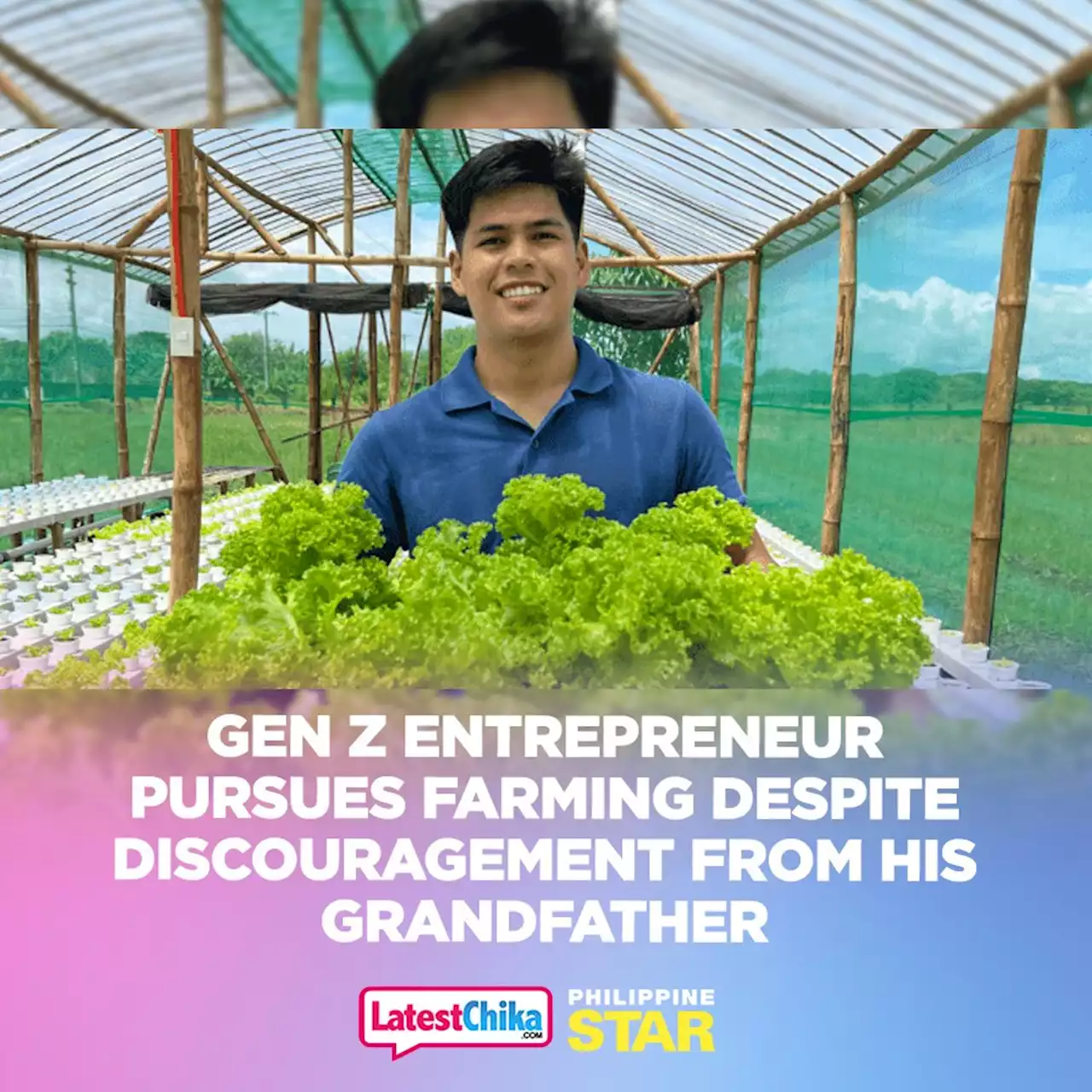 Gen Z entrepreneur pursues farming despite discouragement from his grandfather - Latest Chika