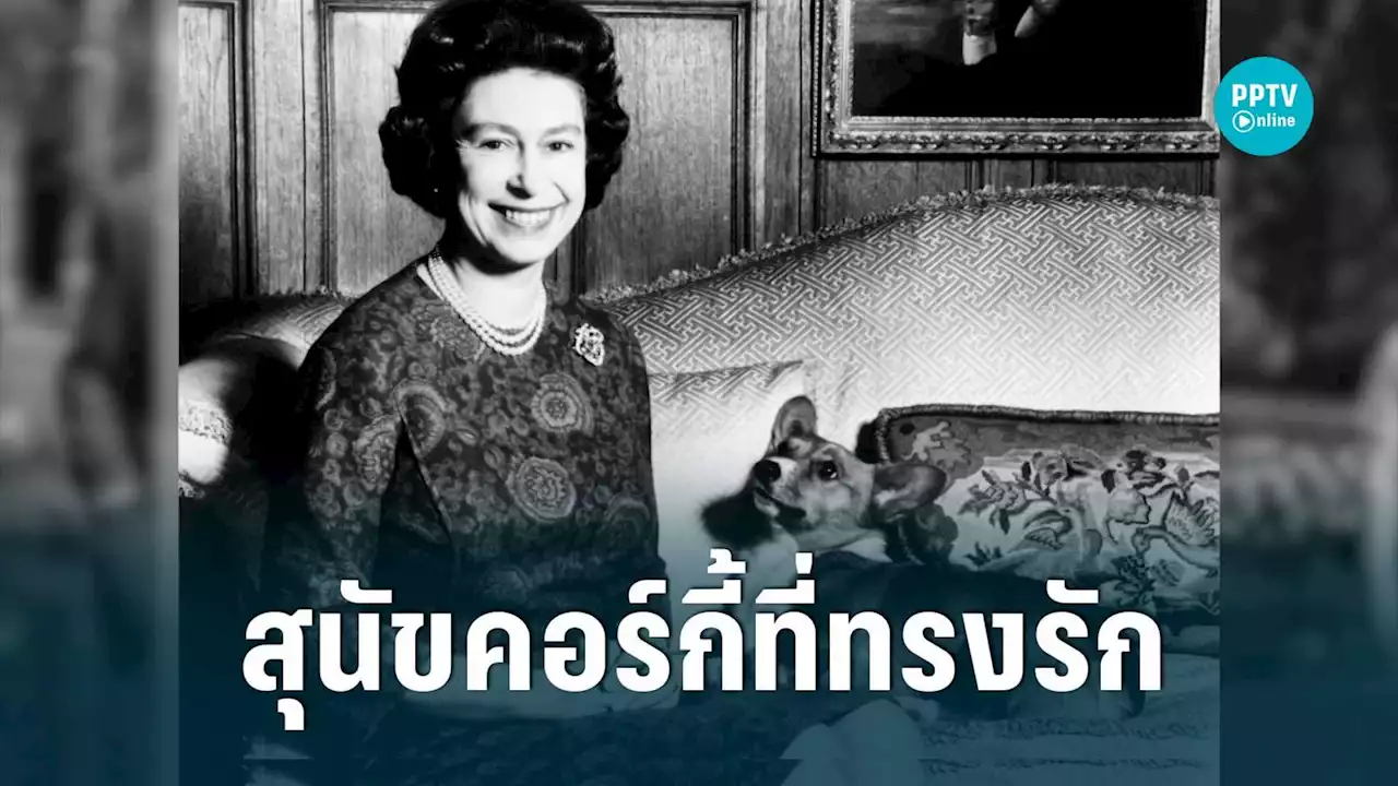 'ควีนเอลิซาเบธ' กับ 'ซูซาน' ตำนานสุนัขคอร์กี้พระราชทานตัวแรก